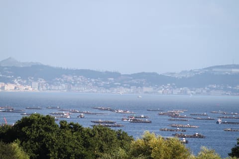 Natural landscape, Sea view