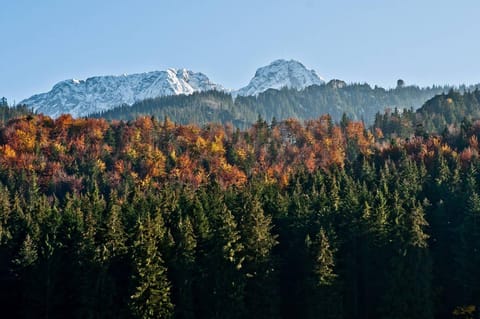 Autumn, Mountain view