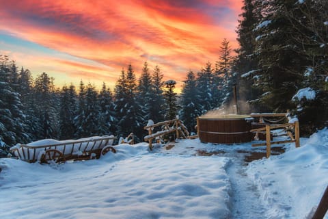 Leśna Bacówka Chalet in Lesser Poland Voivodeship