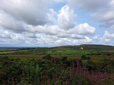 Bell Tent 1 Nature lodge in Saint Austell