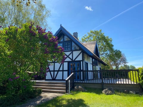 Property building, Garden view