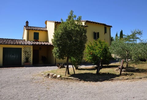 Garden, Garden view