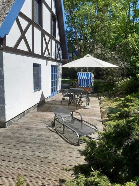 Property building, Garden view