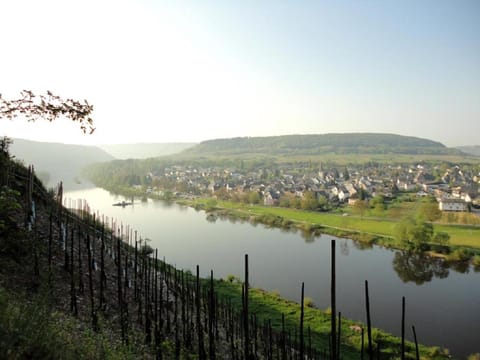 Natural landscape, Hiking, River view