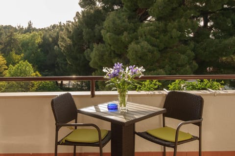 Balcony/Terrace, Garden view