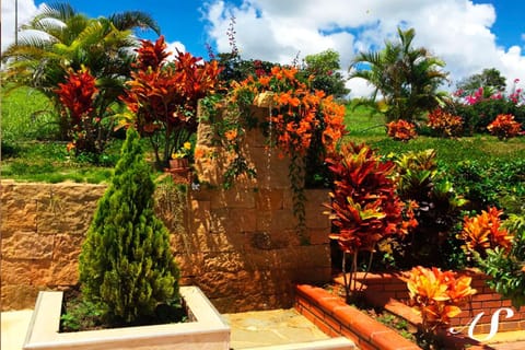 Garden, Garden view