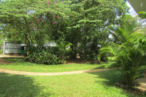 Garden, Garden view