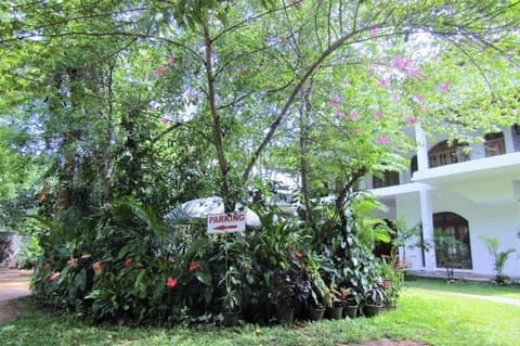 Property building, Garden