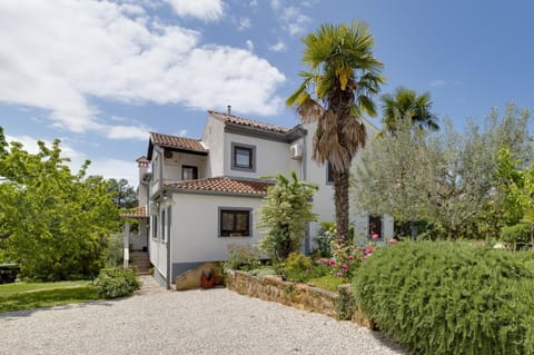 Property building, Garden, Garden view