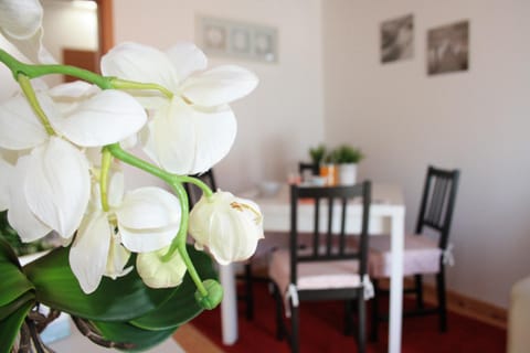 Living room, Other, Photo of the whole room, Decorative detail, Decorative detail, Seating area