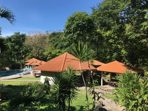 Garden, Garden view, Pool view