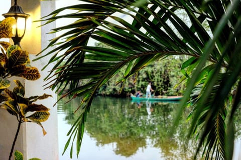 Natural landscape, River view