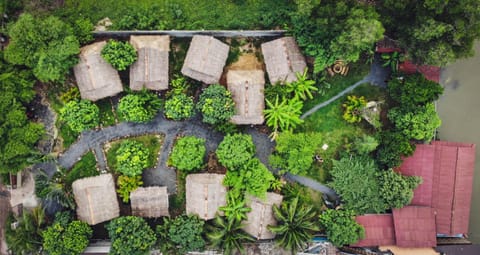 Bird's eye view, Garden view