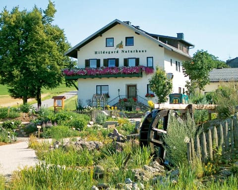 Property building, Garden view