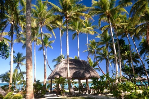 Coconut Beach Resort Resort in Fiji