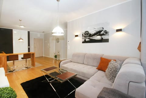 Living room, Photo of the whole room, Decorative detail