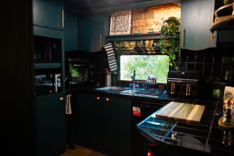 Kitchen or kitchenette, oven, stove