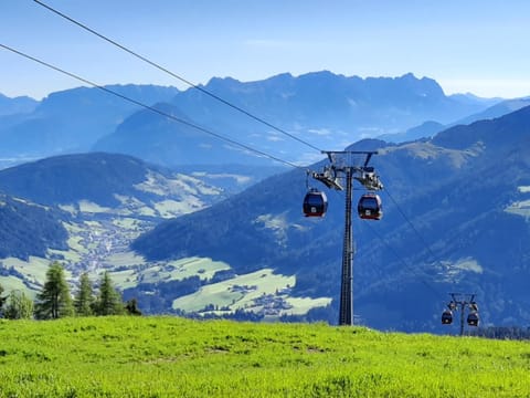 Berggasthof Schatzbergalm Inn in Alpbach