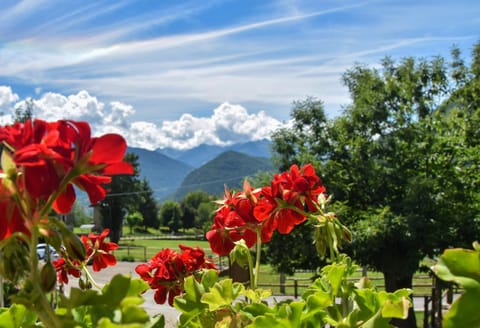 Garden view, Mountain view