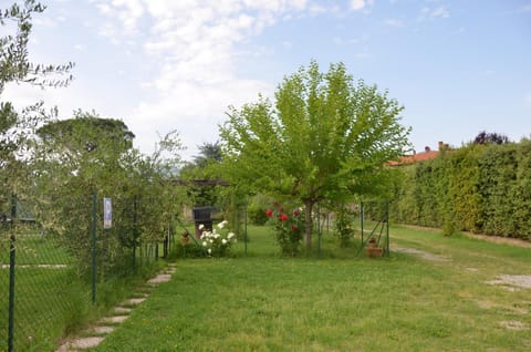 Casa dei Girasoli Haus in Castiglion Fiorentino