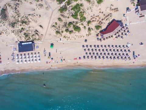 Beach, Area and facilities