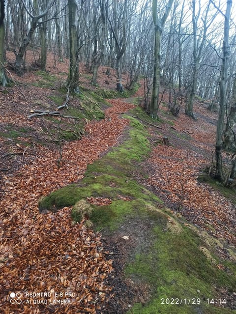 Spring, Natural landscape