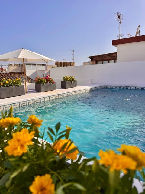 Day, Balcony/Terrace, Pool view, Swimming pool, sunbed