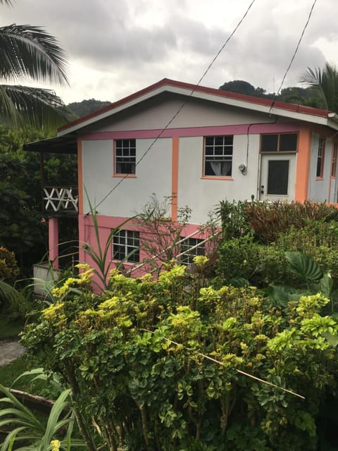 Property building, Garden view