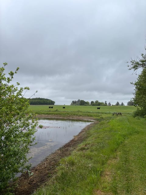 Tiny House Countryside House in Billund