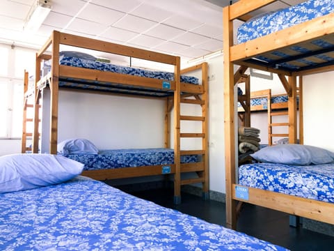 bunk bed