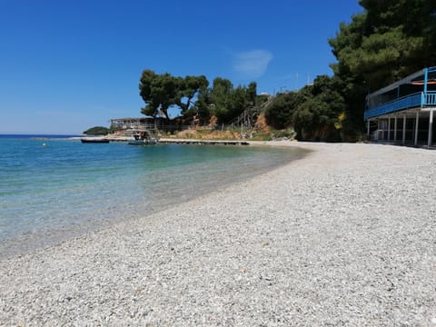 Spring, Neighbourhood, Beach