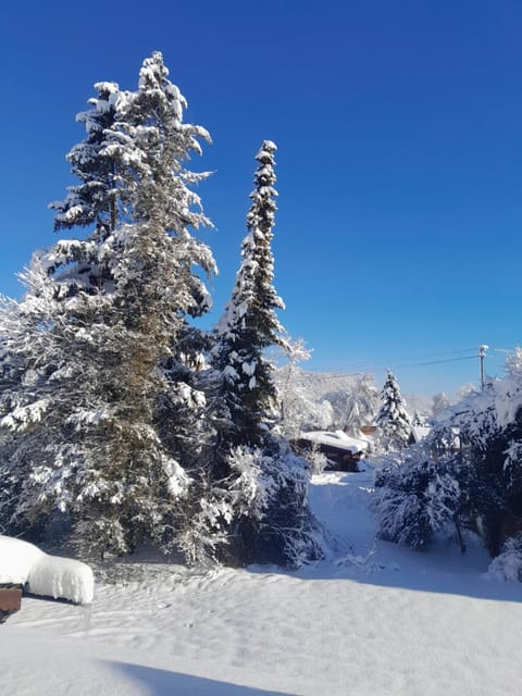 Gästehaus Zunterer Inn in Mittenwald