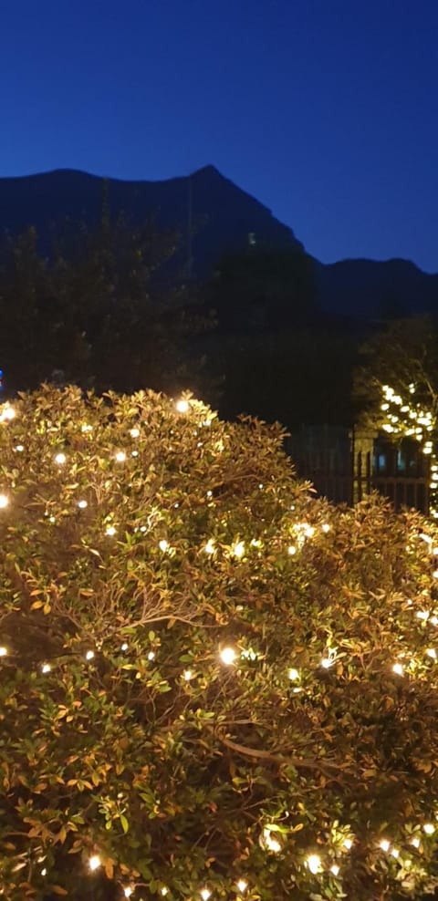 Night, Garden, Garden view