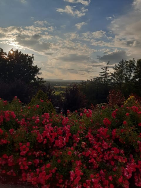 mature 4 bedroom home with relaxing garden and wonderful views House in Wicklow, Co. Wicklow, Ireland
