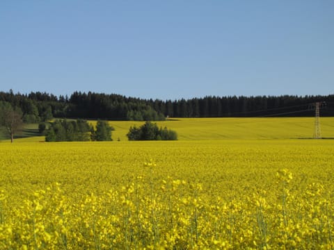 Stollenklause Condo in Erzgebirgskreis