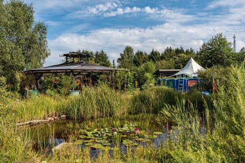 Ferienwohnung im Haus Ginkgo Apartment in Rheinsberg