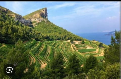 Les 3 petits oiseaux Villa in Toulon
