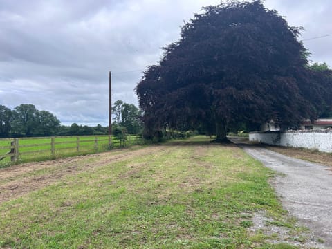 Garden, Garden view, Street view