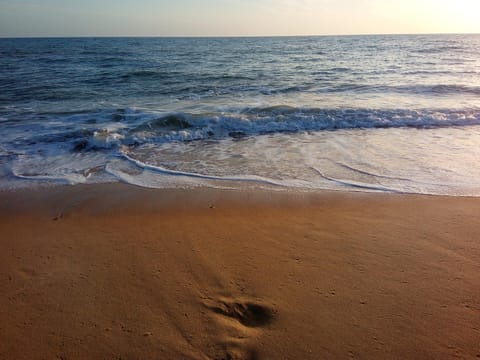 Nearby landmark, Beach