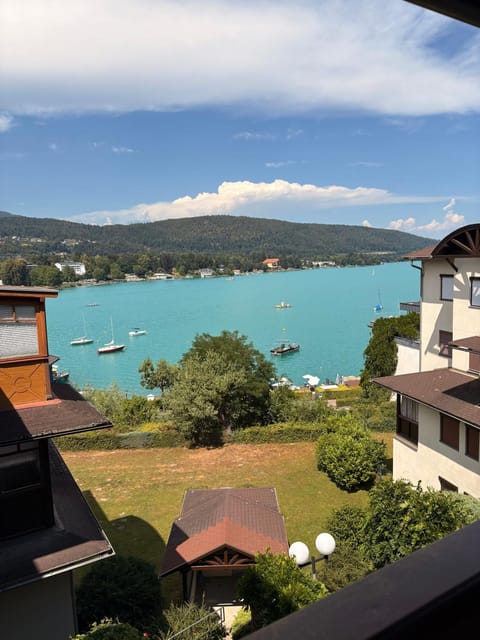 Lake view