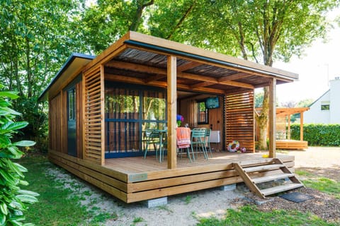 Patio, Garden, Garden view