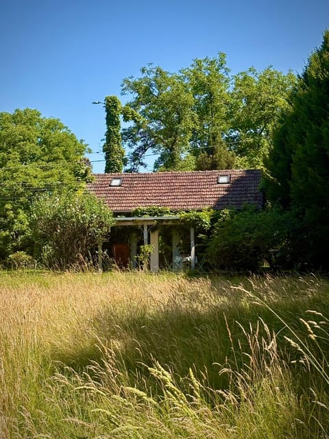 Gîte et Roulotte dans les Vosges House in Vosges