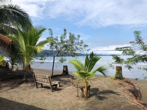 Paraiso Escondido Hotel in Choco, Colombia