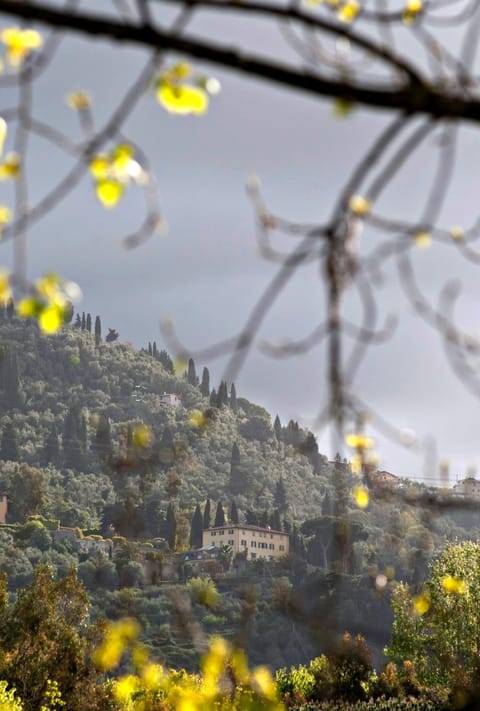 Villa Sant'Andrea Villa in Pietrasanta