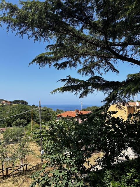 Natural landscape, Sea view