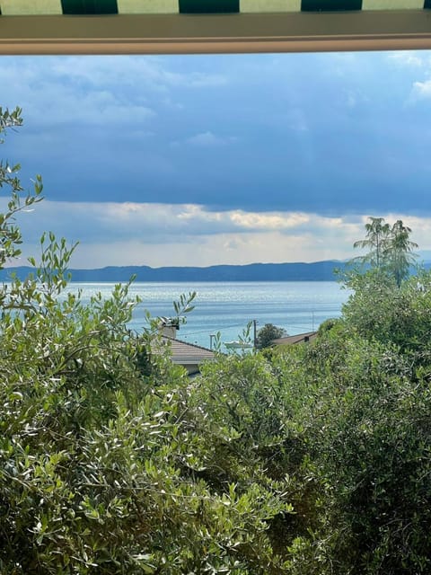 Lake view