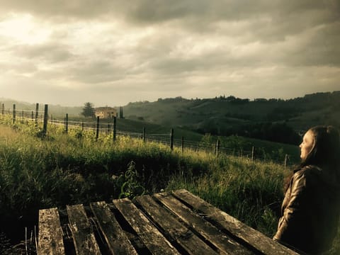 Natural landscape, Autumn, On site