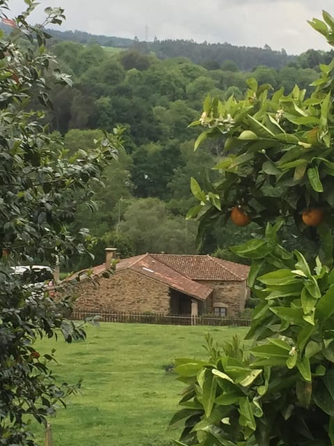 Casa Torres House in Galicia