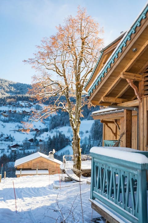 Property building, Winter, Garden view