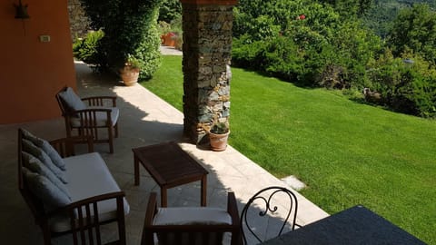 Patio, Garden, Garden view